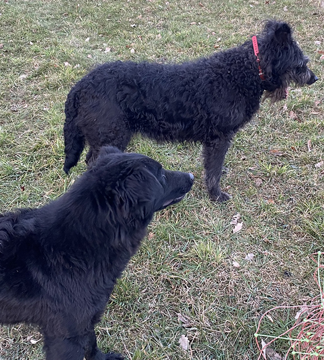 Fanny & Cindy Fanny und Cindy sind hochkonzentriert