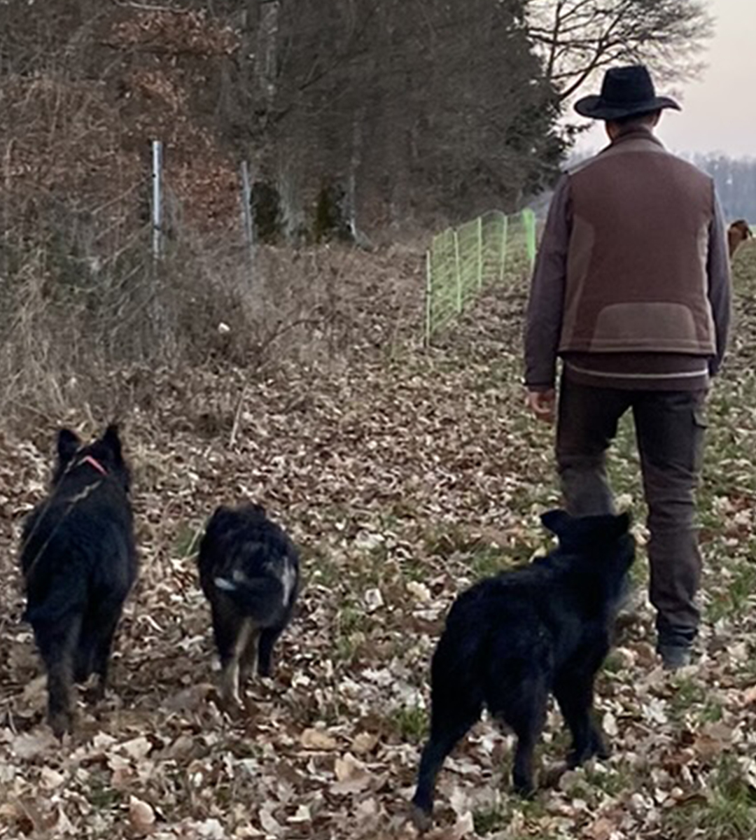 Der Schäfer und seine drei Hütehunde Markus und seine drei Hunde von hinten