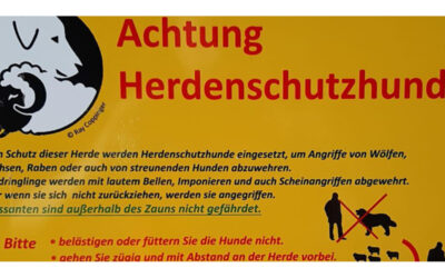 Vorsicht Herdenschutzhunde