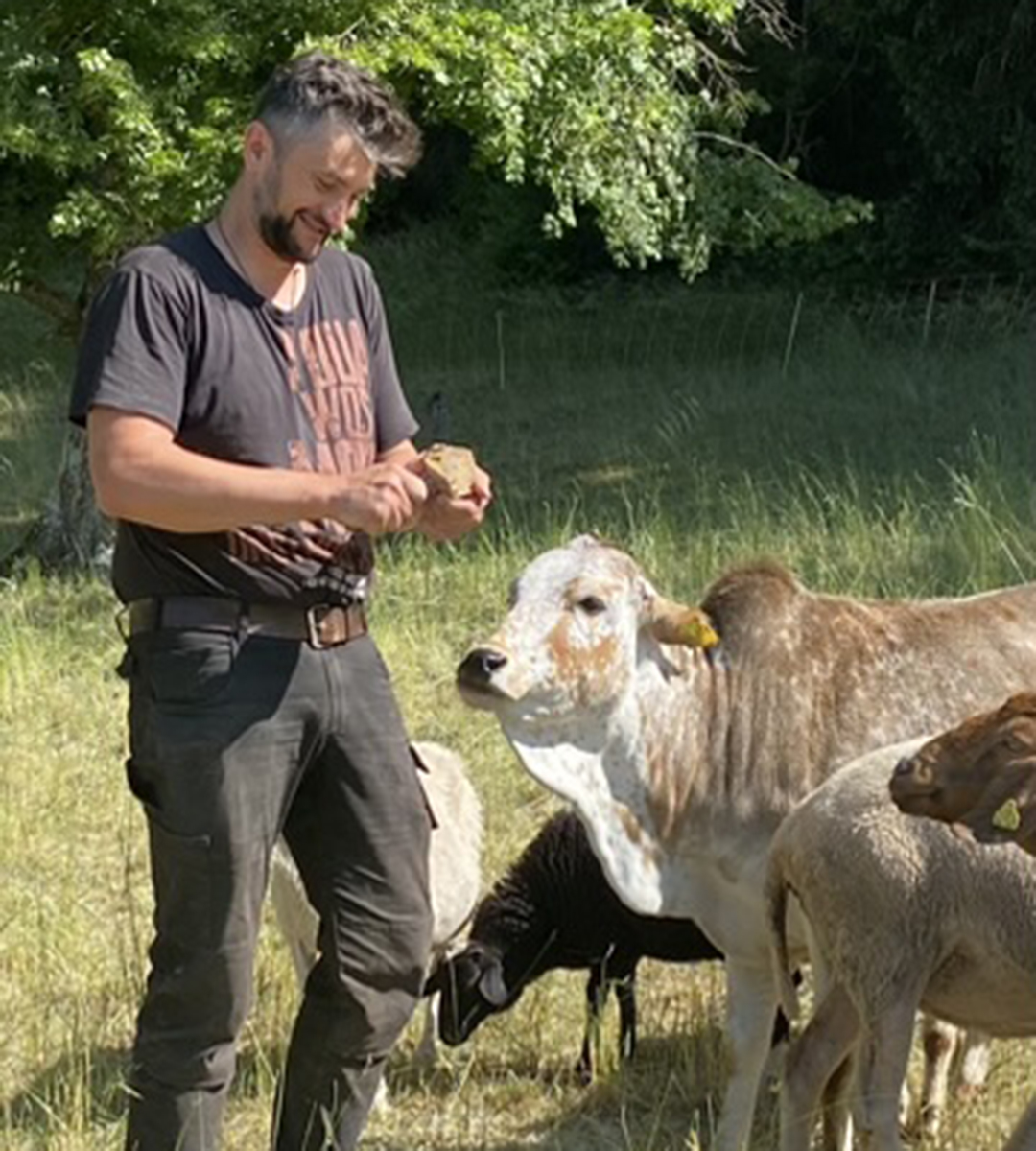 Der Hirte füttert seine Lieblingskuh