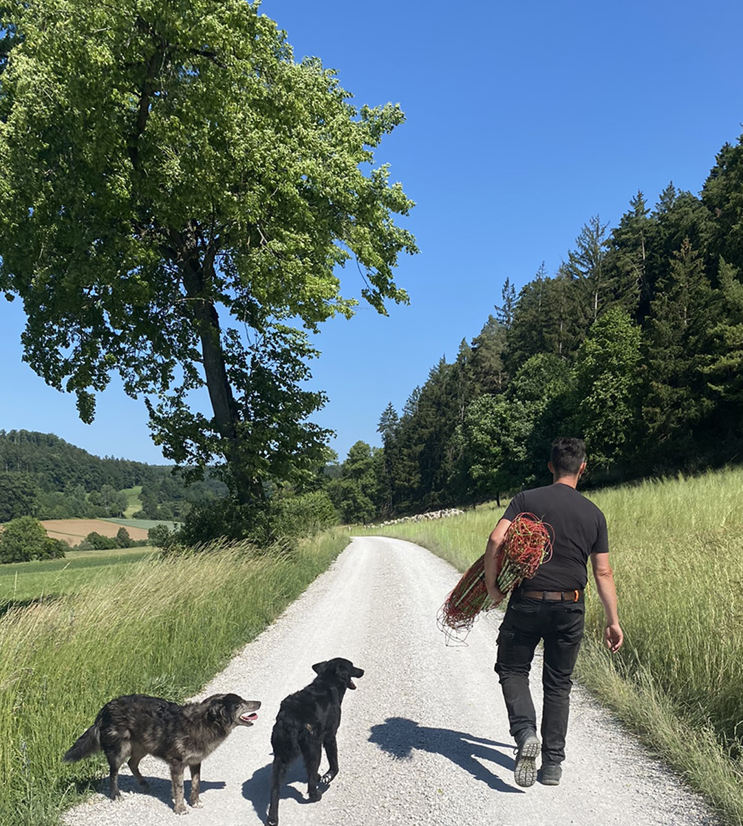Markus Mederer läuft mit Fanny und Lotte Markus Mederer läuft mit Fanny und Lotte