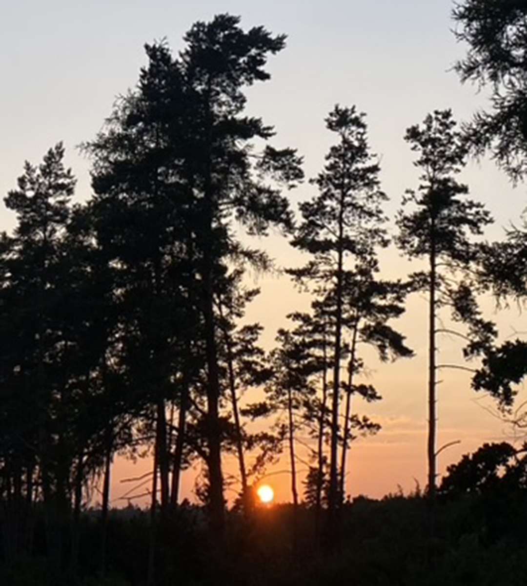 Die Sonne geht in Greding unter.